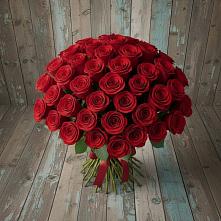 Букет 55 Красных роз Фридом #REPLACE_PRED# Никологоры